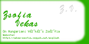 zsofia vekas business card